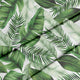 Big Leaves Lincoln