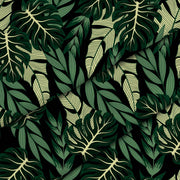 Tmavě zelená Monstera