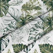 Monstera zelený list