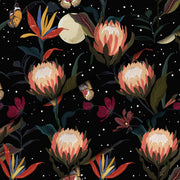 Protea Flowers