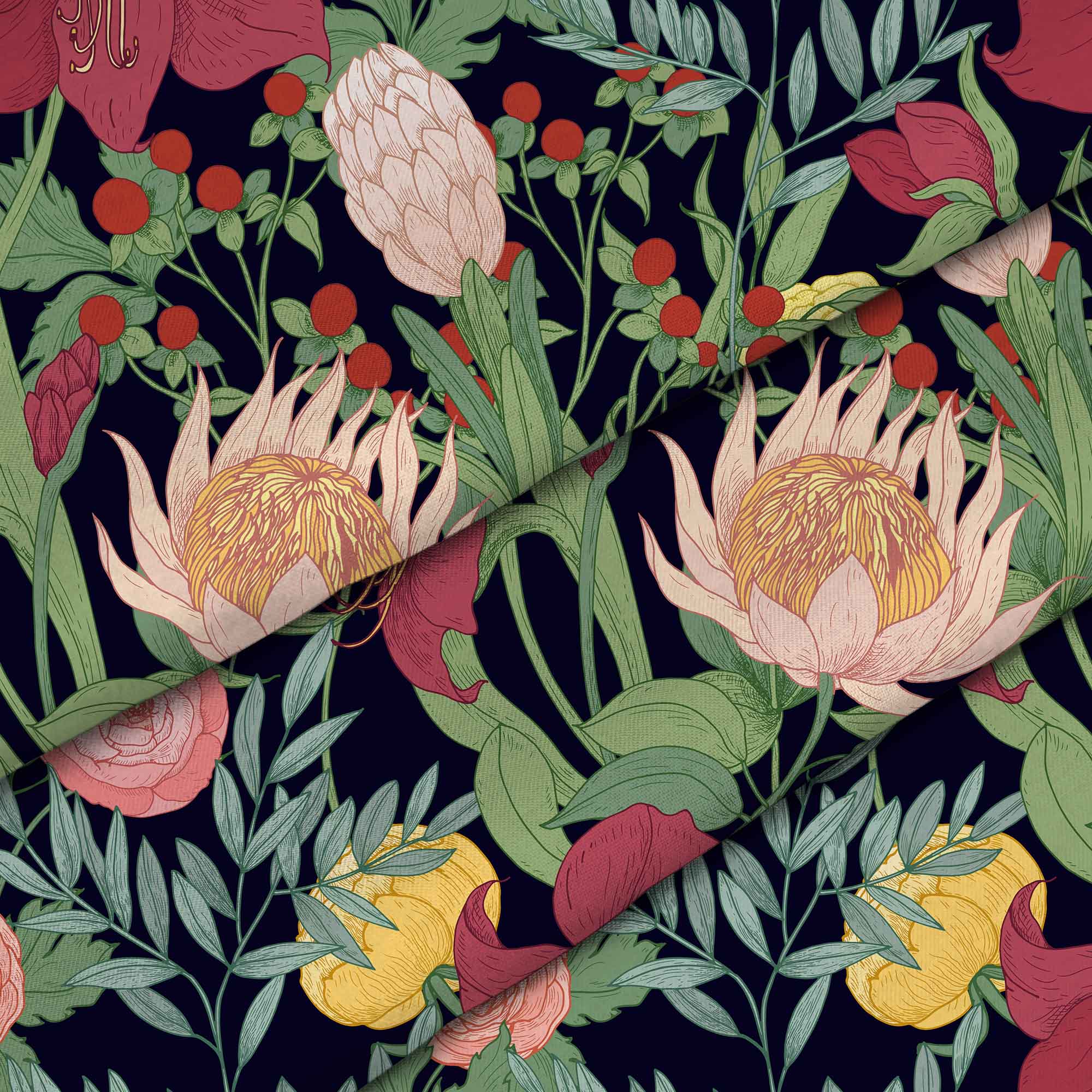 Protea Blooming Flowers