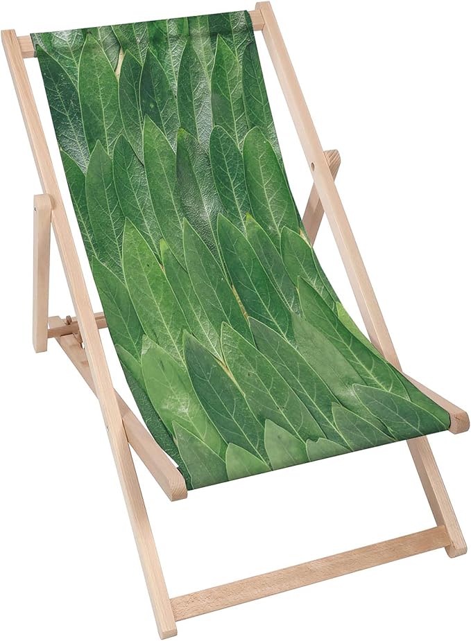 Vintage Wooden Deck Chair Green Leaf Symmetry