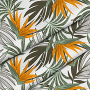 Oranžová Strelizie-Oxford
