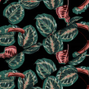 Red Tropical Maranta-Velvet