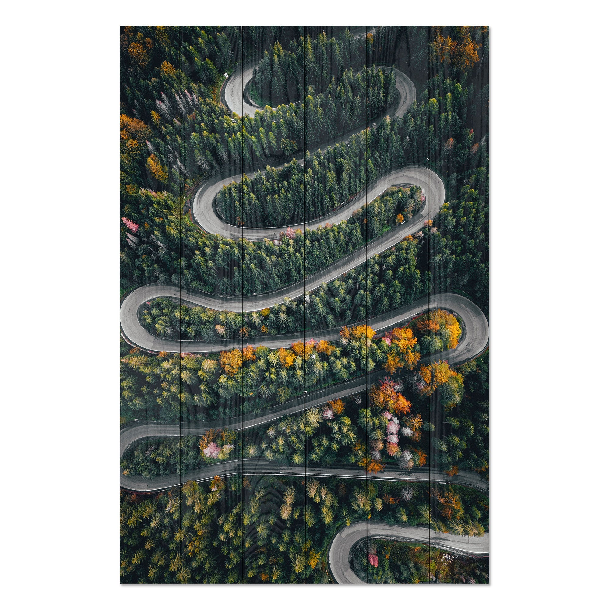 Obraz Wood Klikatá cesta lesem-50x70 cm