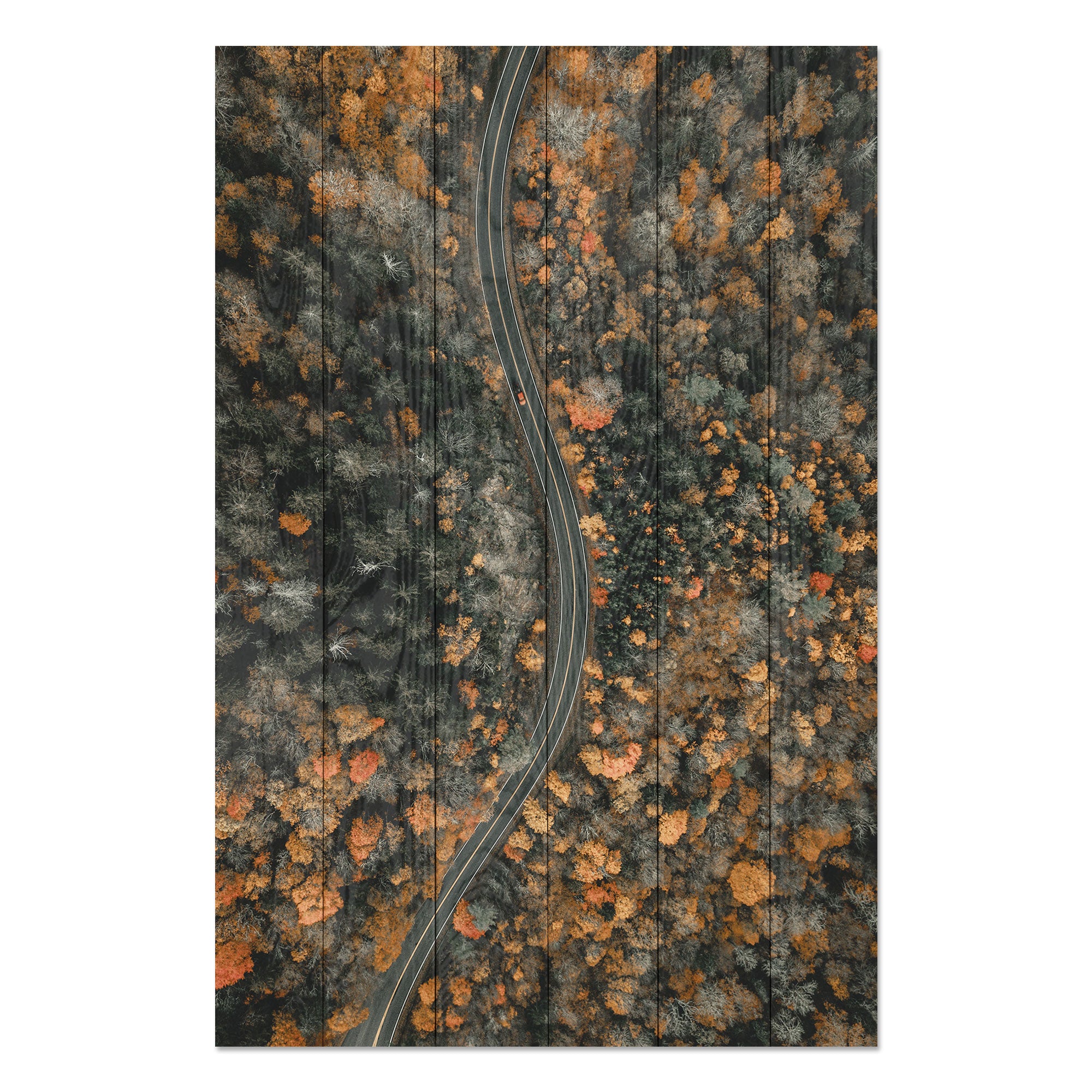 Obraz Wood Klikatá cesta-40x60 cm