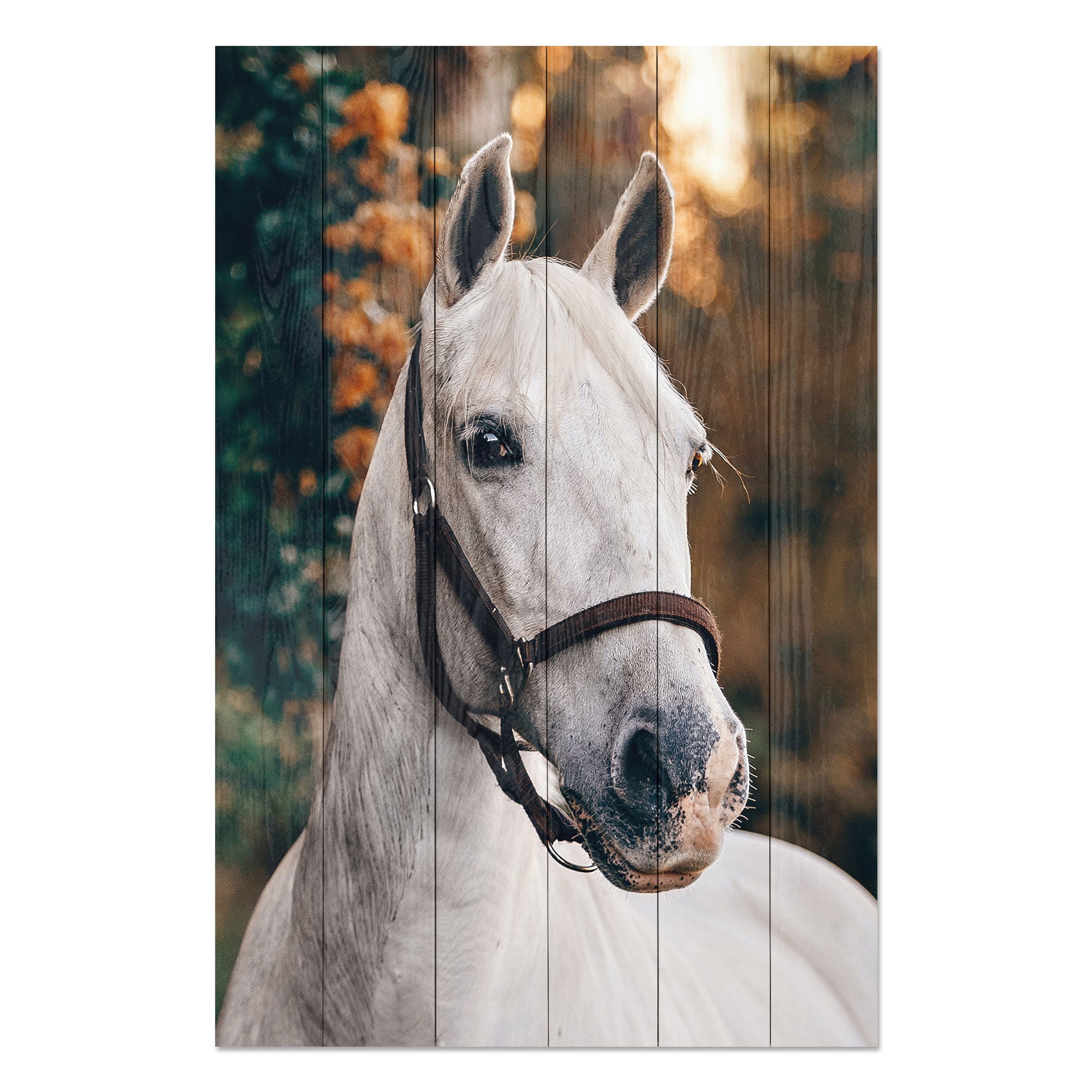 Wood Picture White Horse-30x40 cm