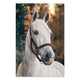 Obraz Wood White Horse-40x60 cm
