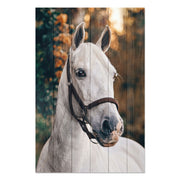 Wood Picture White Horse-50x70 cm