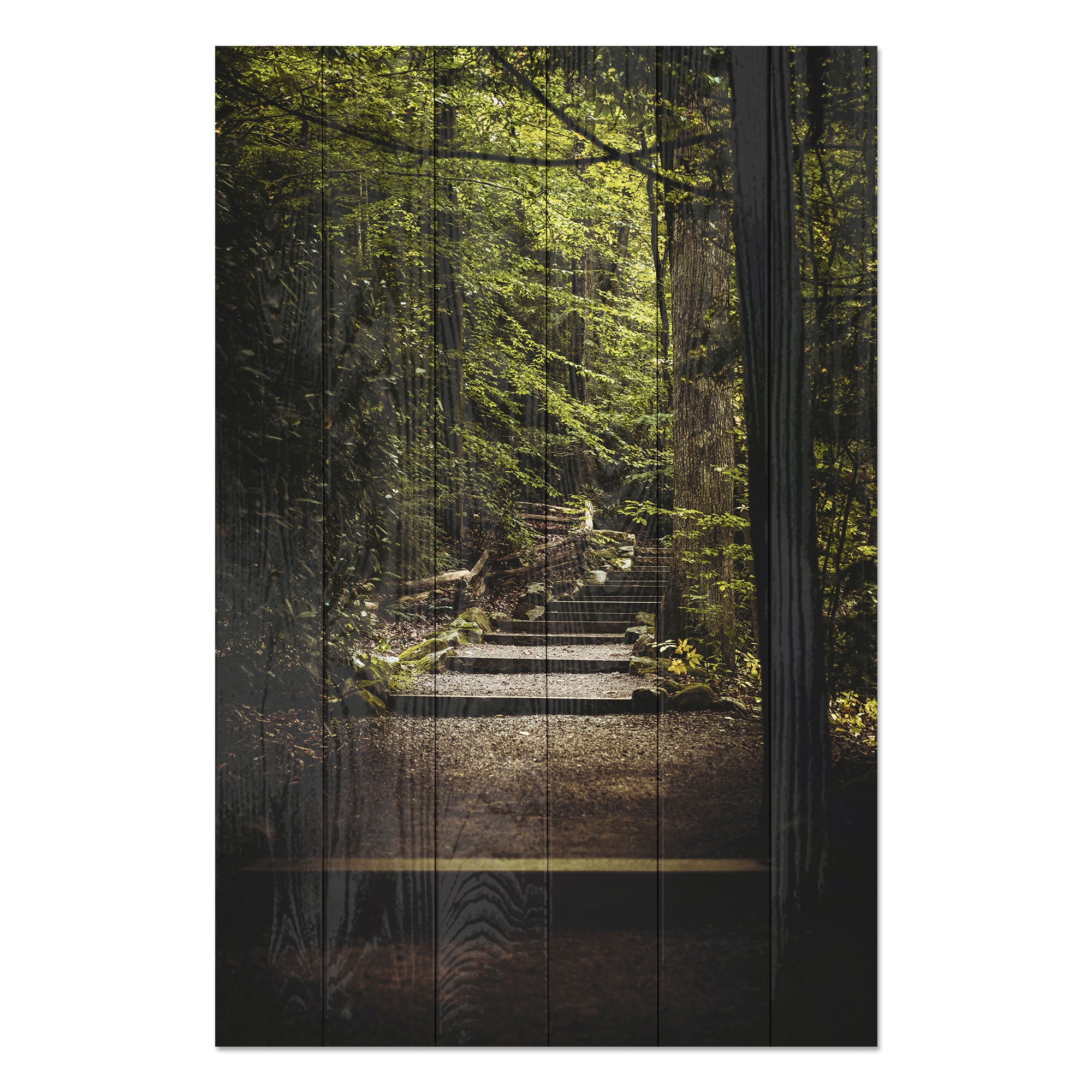 Obraz Wood Stairs in the Forest-30x30 cm