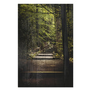 Bild Holz Treppen im Wald-50x70 cm