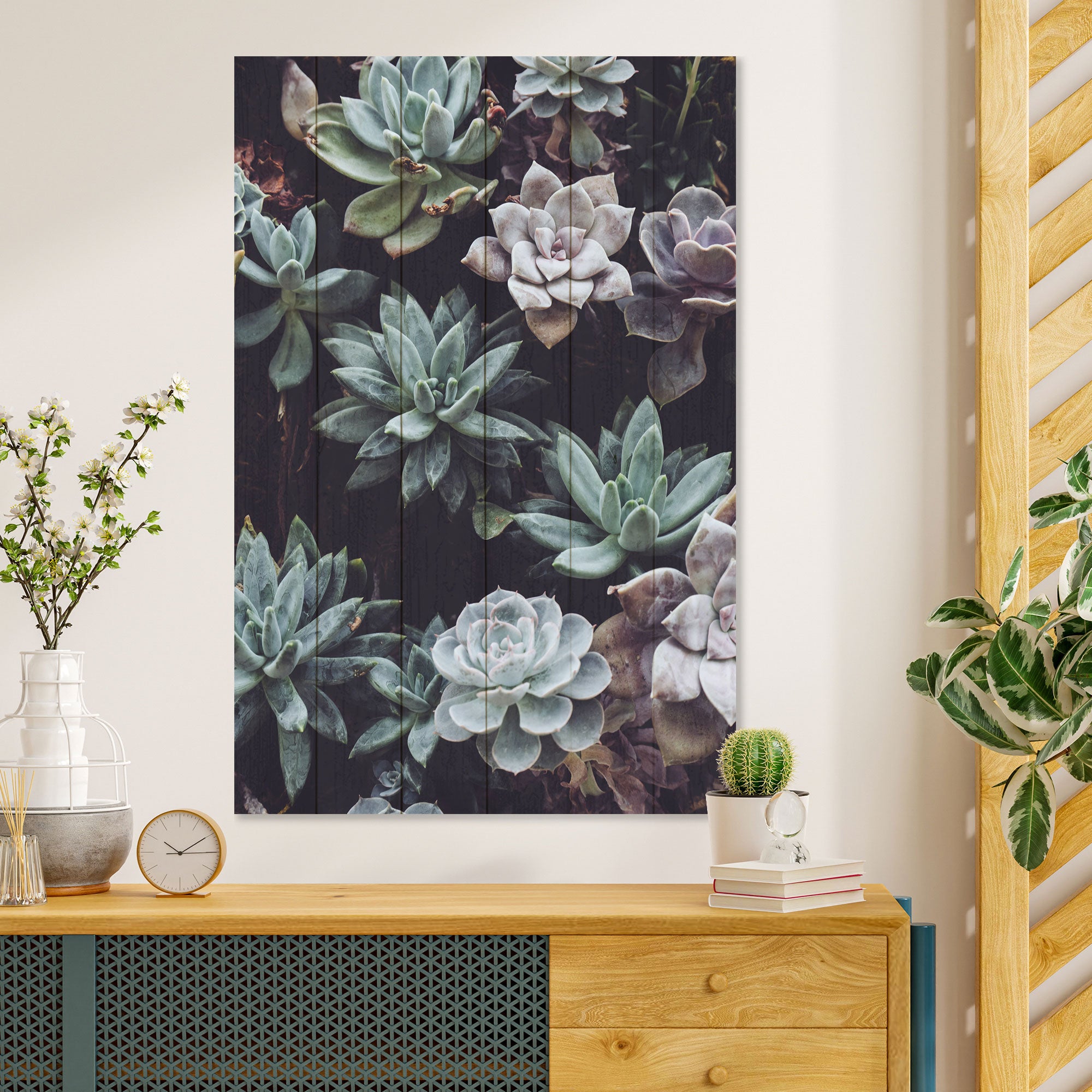 Obraz Wood Succulents