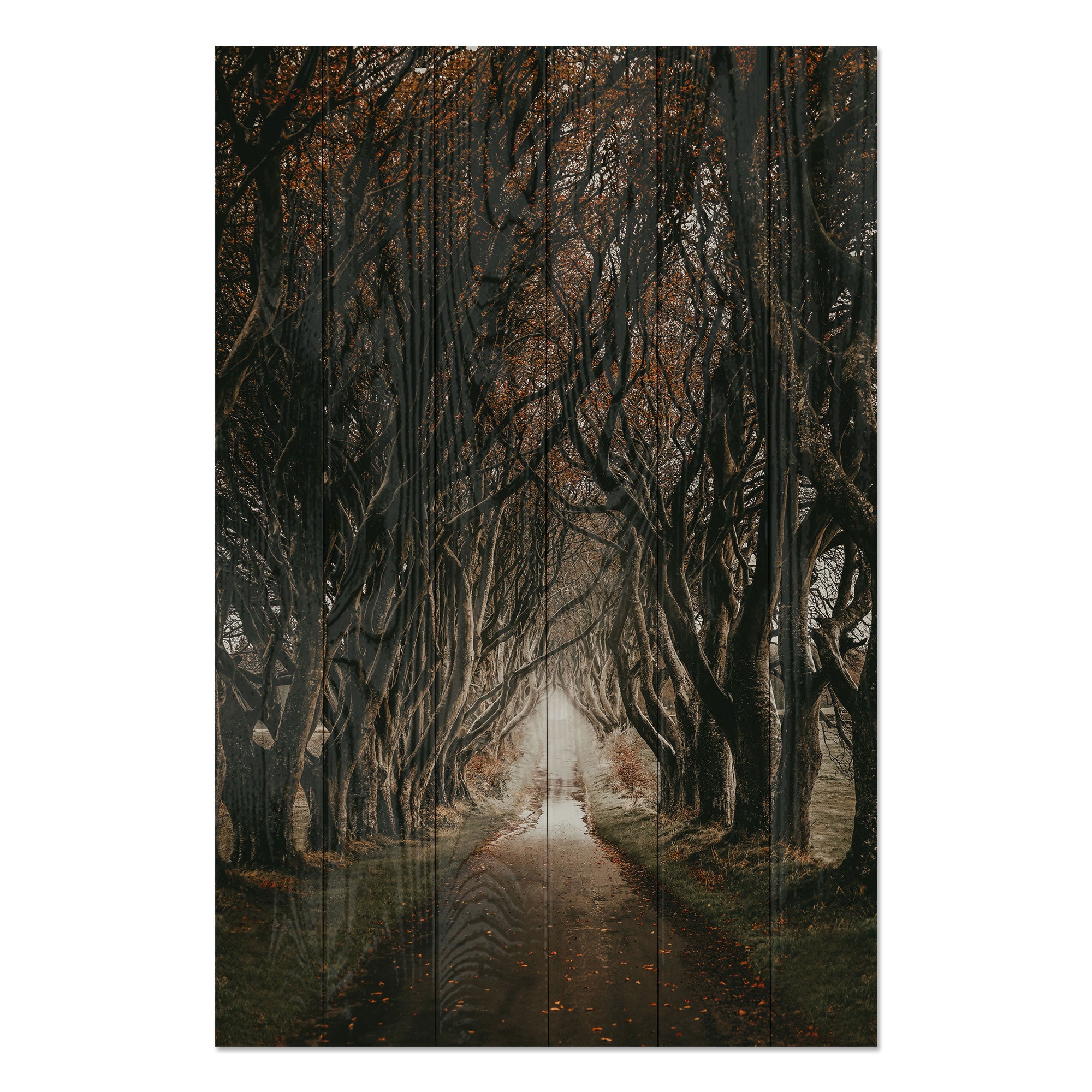 Obraz Wood Cesta mezi stromy-40x60 cm