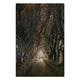 Obraz Wood Cesta mezi stromy-40x60 cm