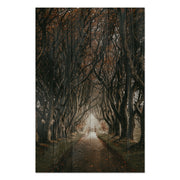 Obraz Wood Cesta mezi stromy-70x90 cm