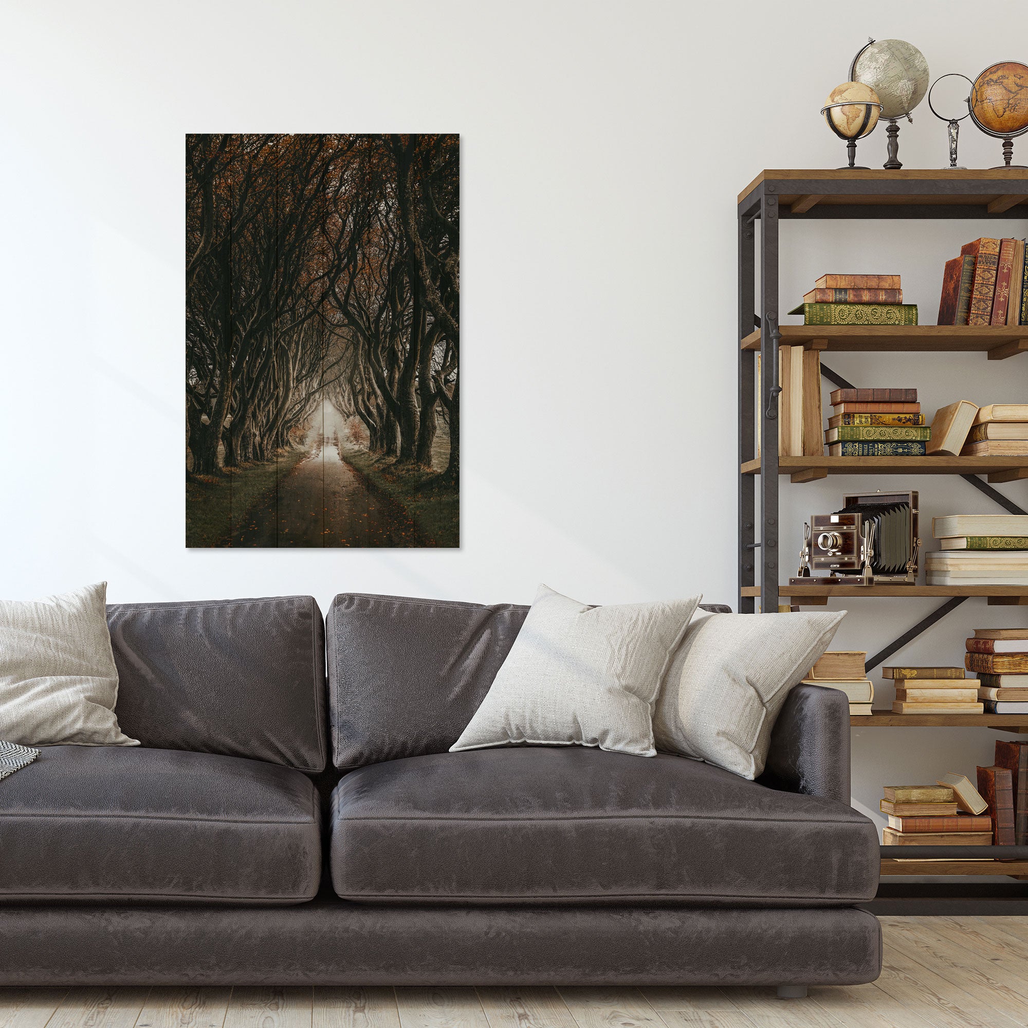 Obraz Wood Cesta mezi stromy