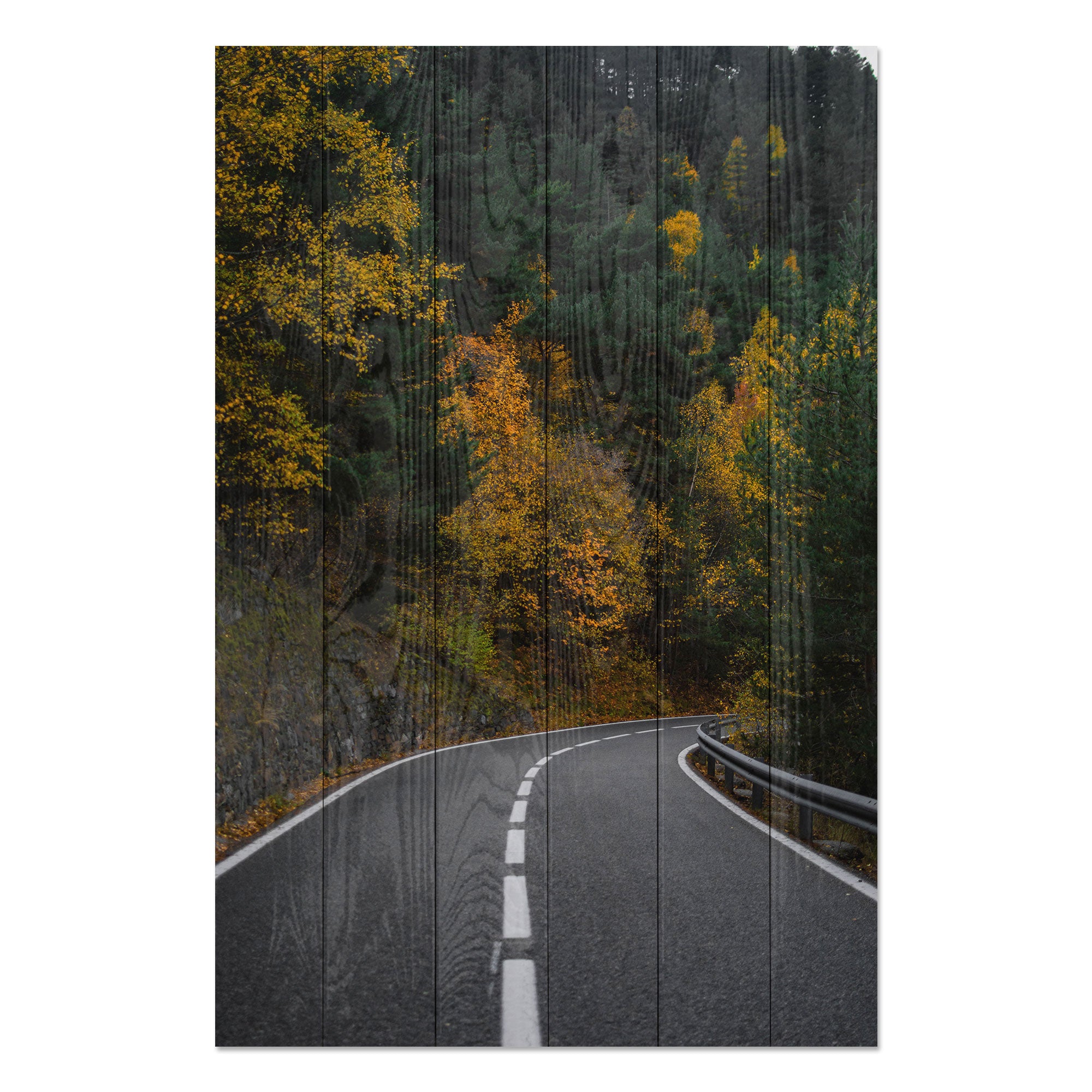 Obraz Wood Cesta lesem-30x40 cm