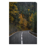 Obraz Wood Road throught the Forest-50x70 cm