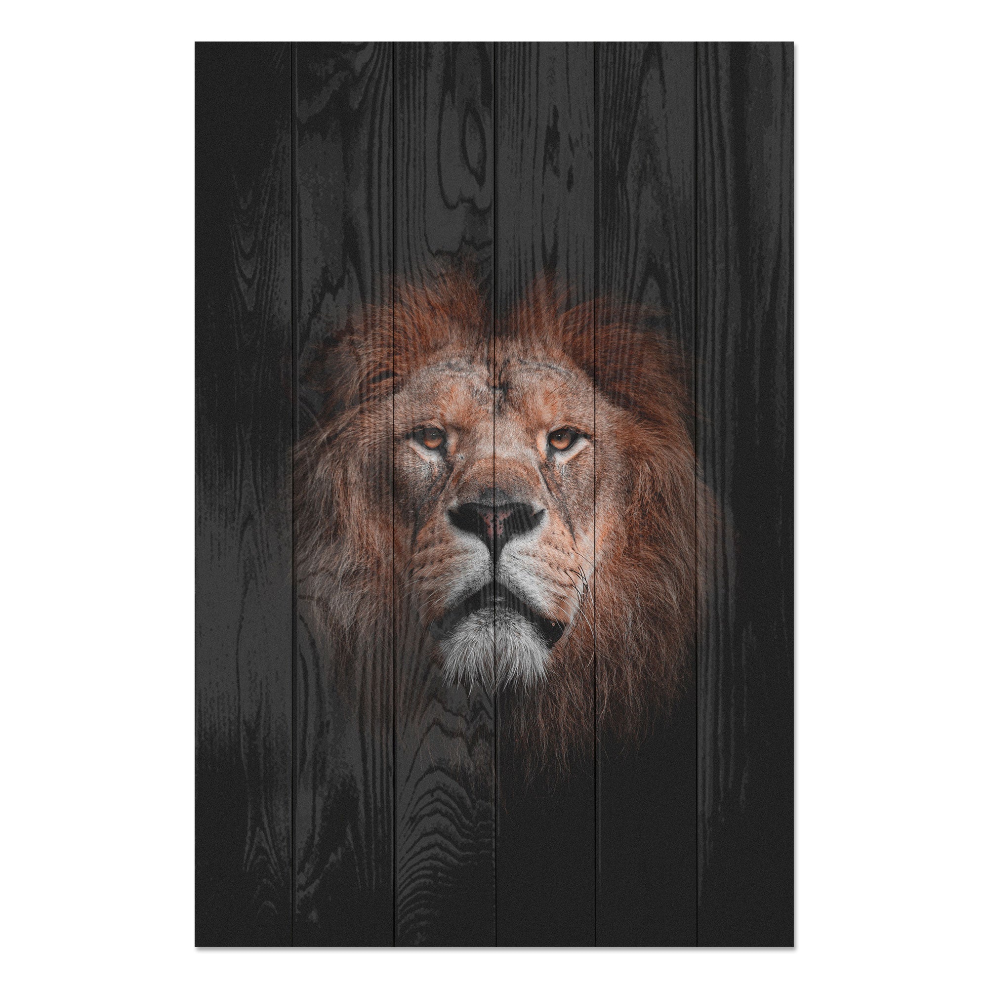 Wood Painting Portrait of a Lion-30x40 cm