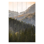 Obraz Wood Trees in the Mountains-20x30 cm