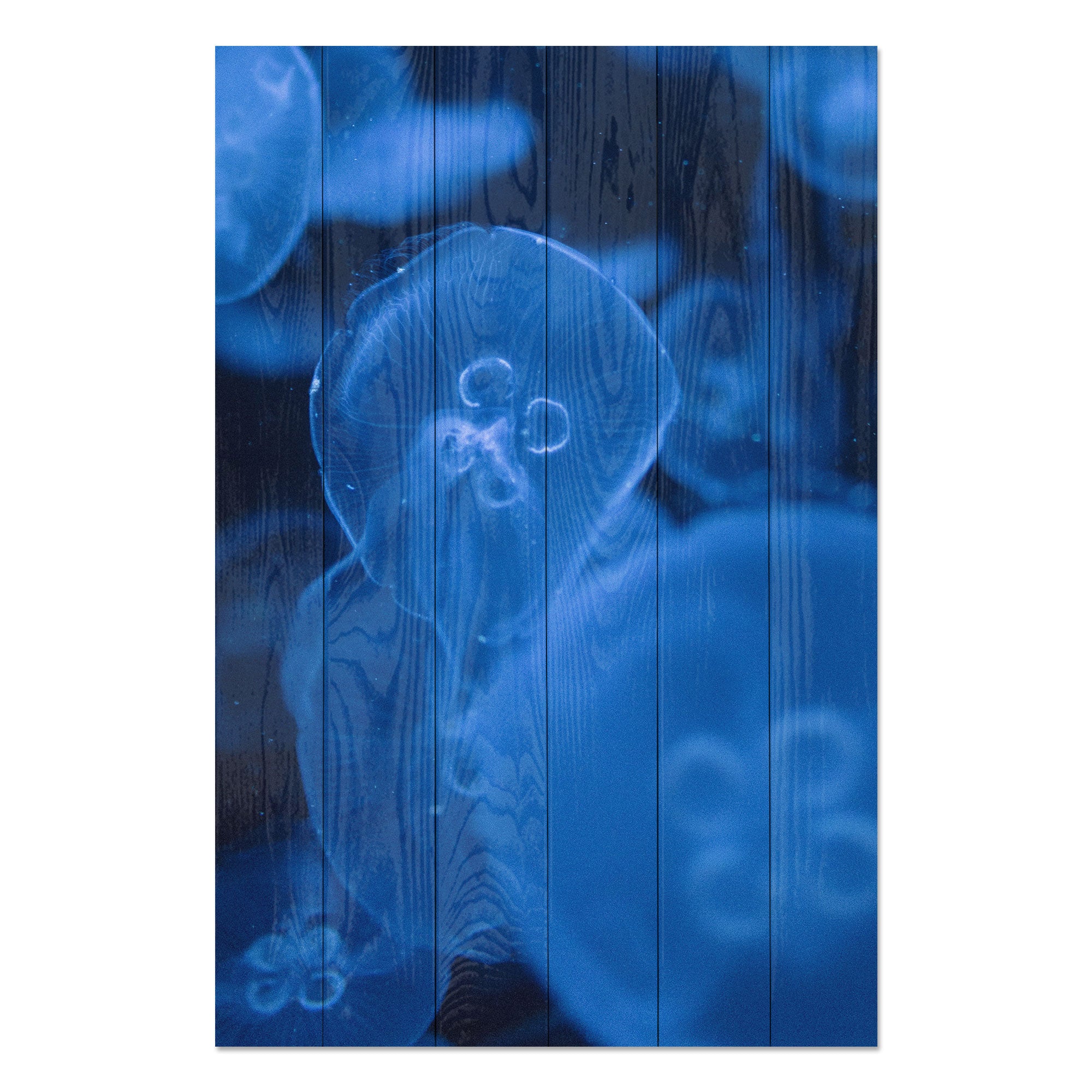 Wood Picture Medusa-50x70 cm