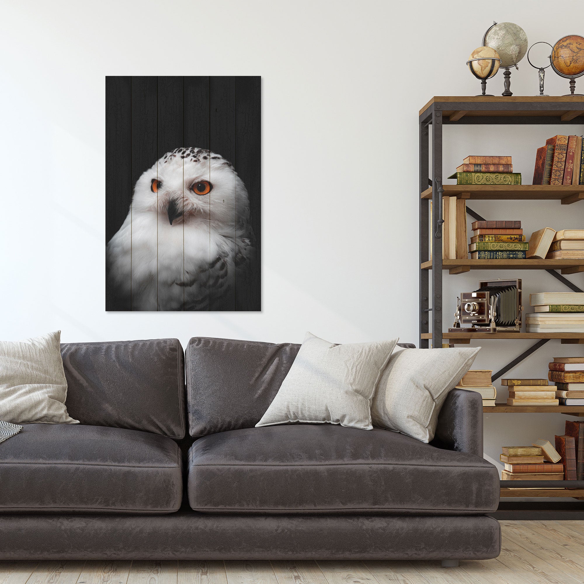 Obraz Wood Owl Portrait