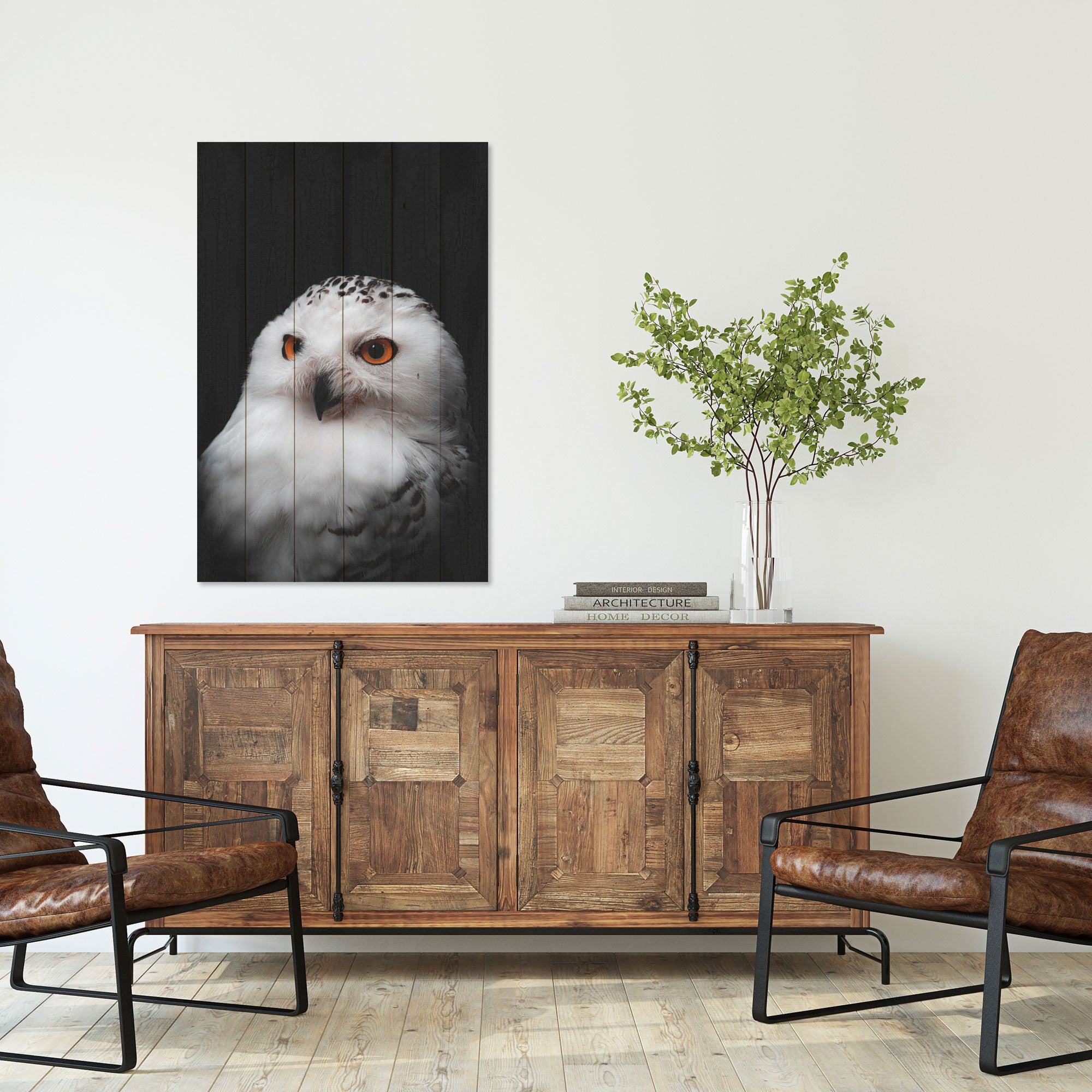 Obraz Wood Owl Portrait