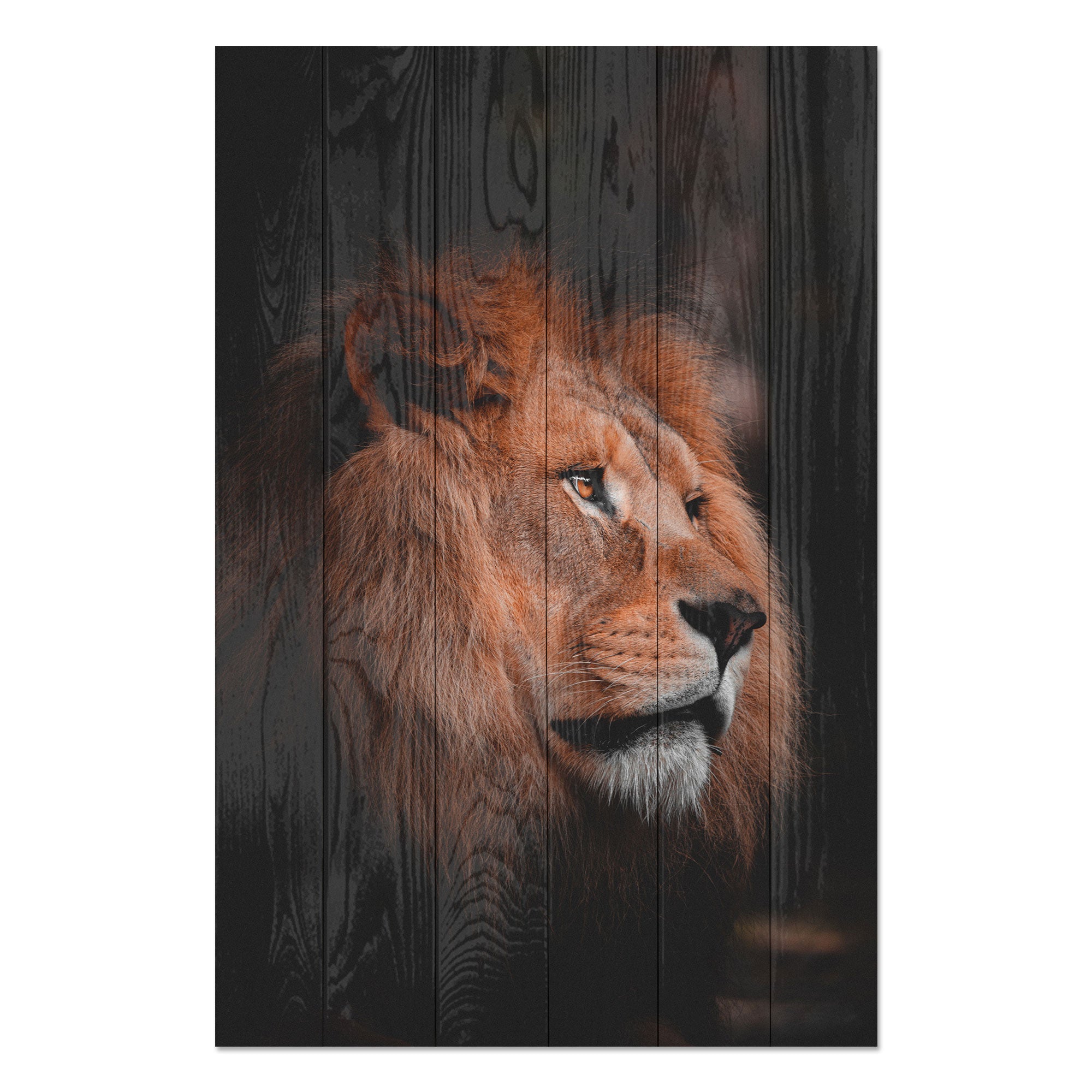 Obraz Wood Profil Leva