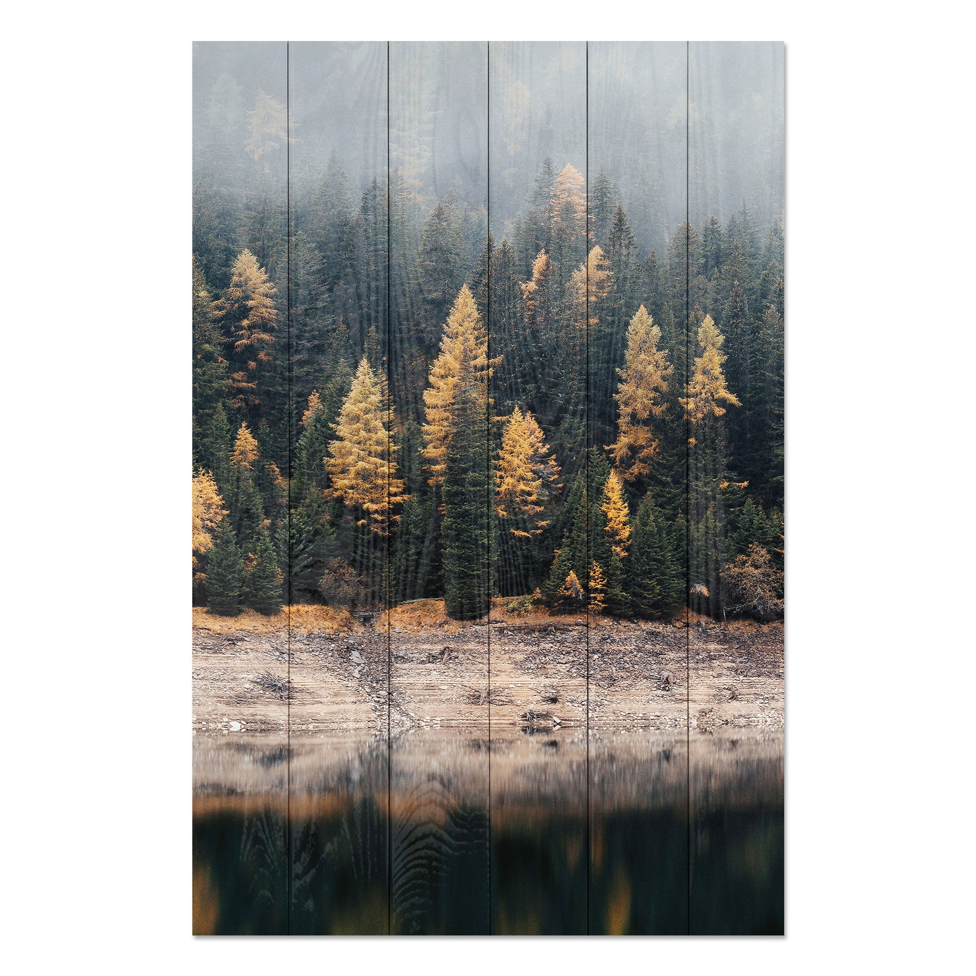 Obraz Wood Mlžný les-40x60 cm