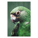 Wood Picture Parrot-40x60 cm