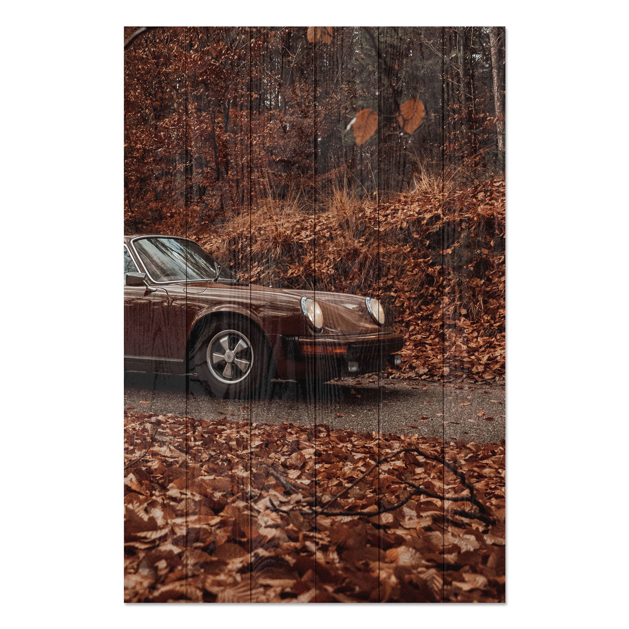 Obraz Dřevo Pole Hnědé-40x60 cm
