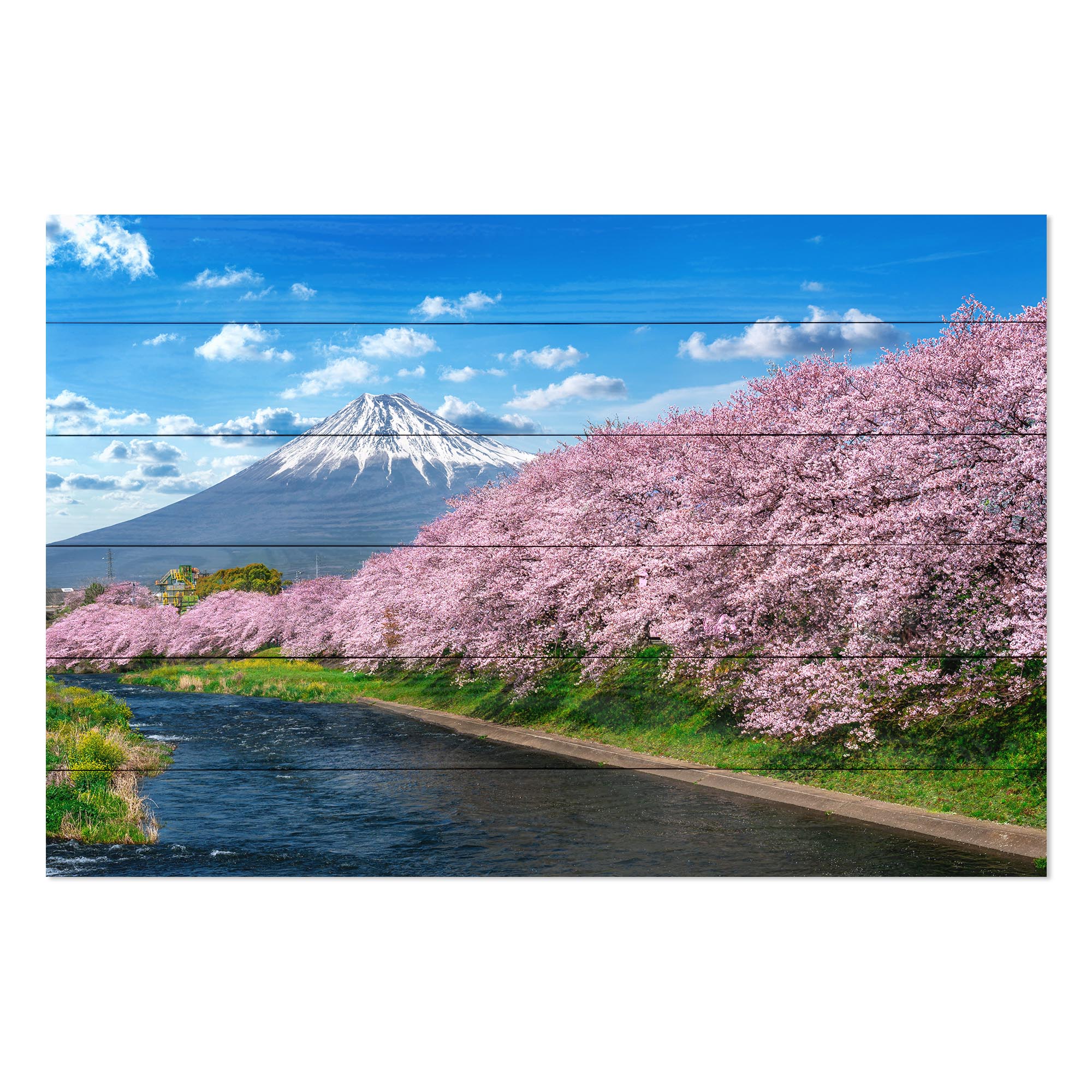 Obraz Wood Fuji Mountain in Spring-50x70 cm