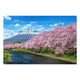 Obraz Wood Fuji Mountain in Spring-50x70 cm