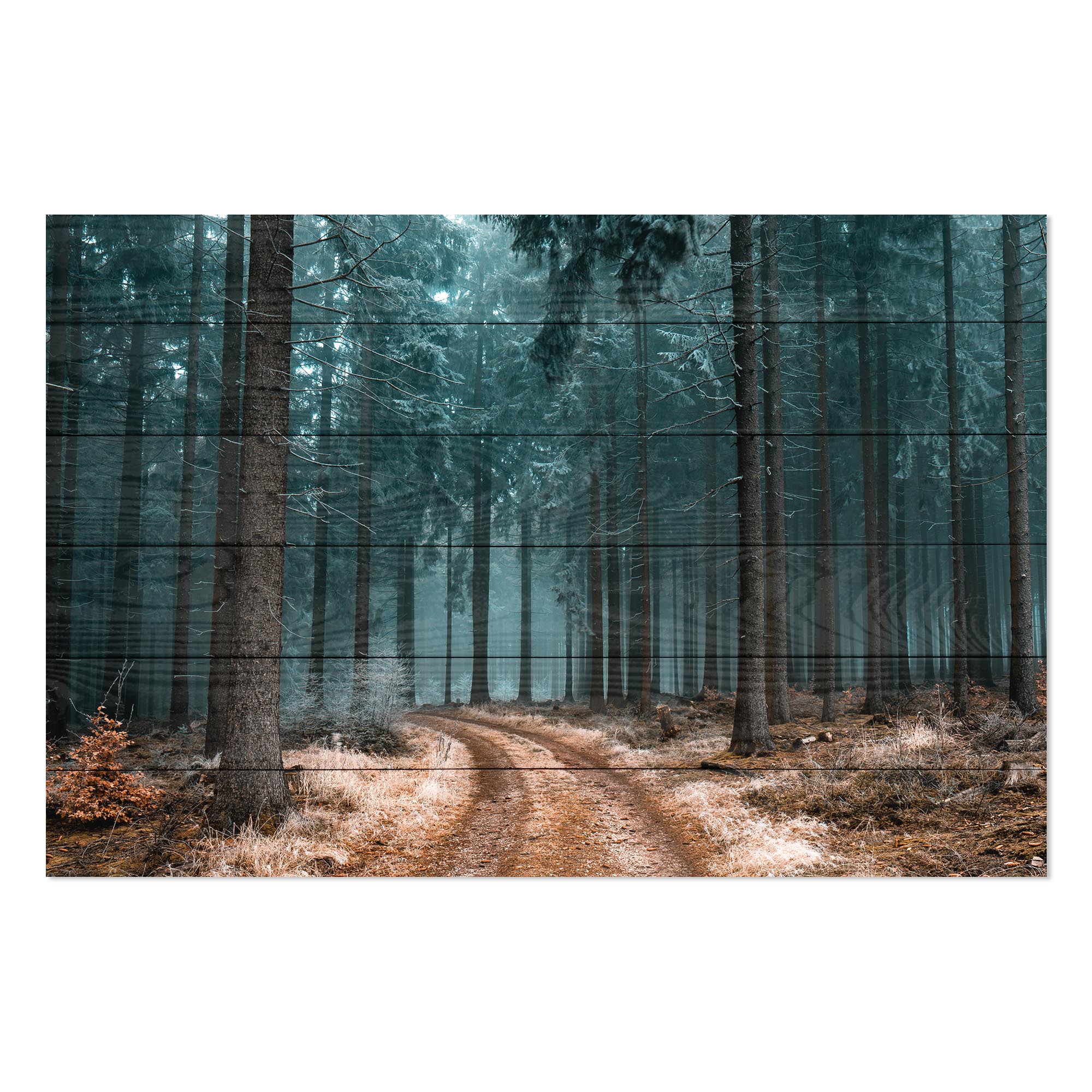 Obraz Wood Cesta v lese