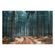 Bild Wood Pfad im Wald