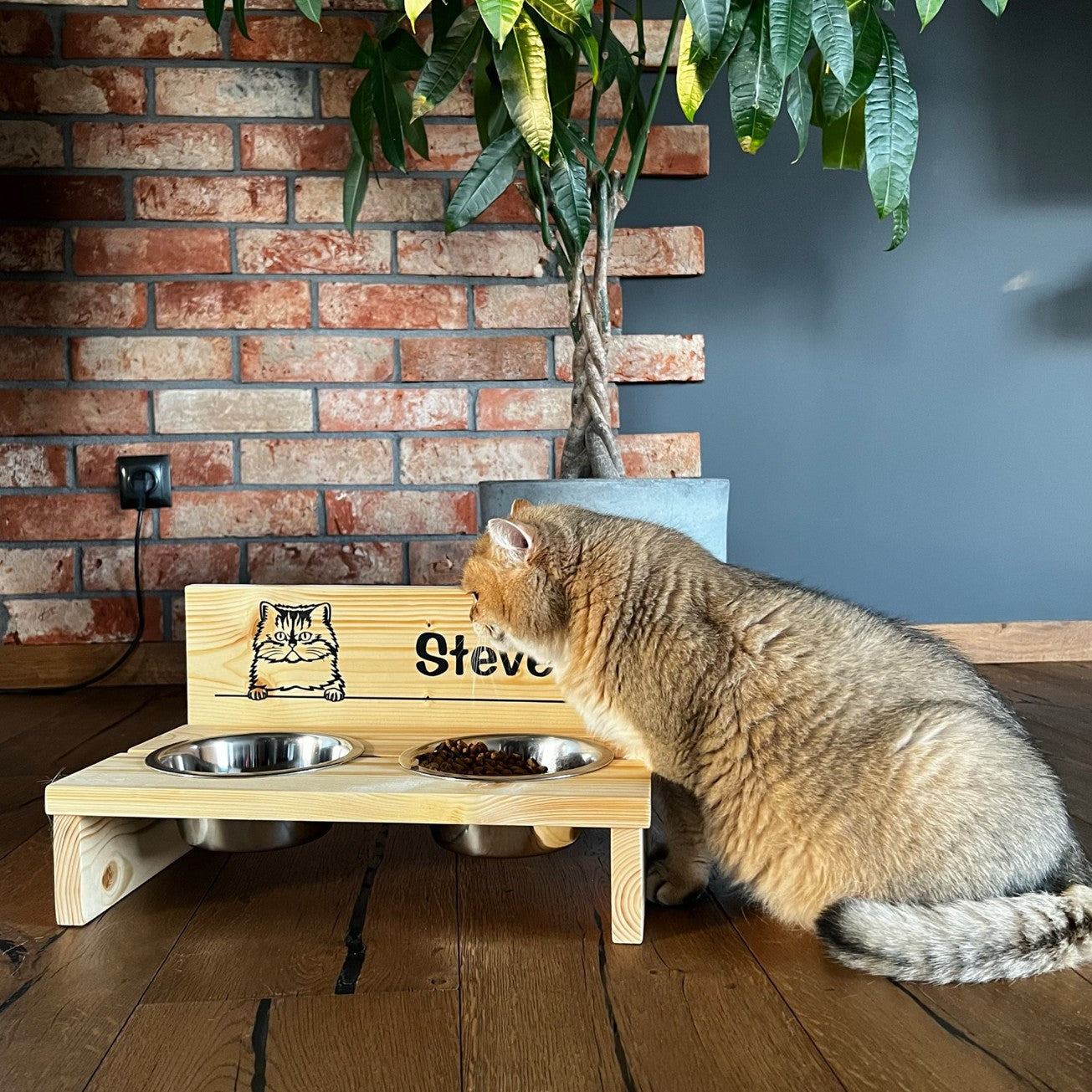 Stojak na miskę dla kota American Curl-M