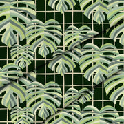 Mriežka Monstera Listy