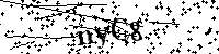 Prosím opište níže uvedené znaky