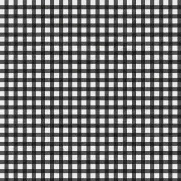 Látka Black and white check