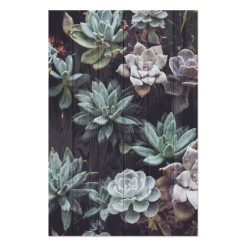 Obrázek na dřevo Succulents