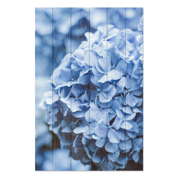 Obrázek na dřevo Hydrangea