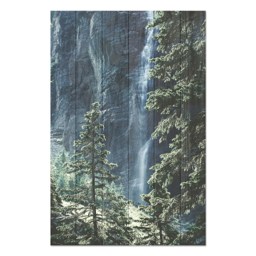 Obrázek na dřevo Forest Waterfall