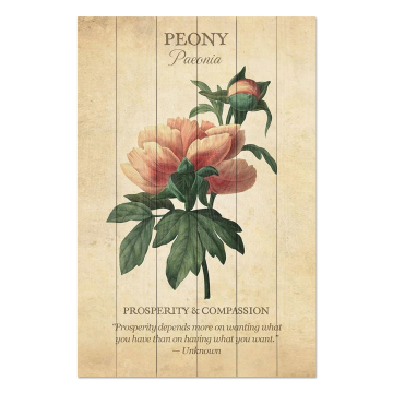 Obrázek na dřevo Peony Flower