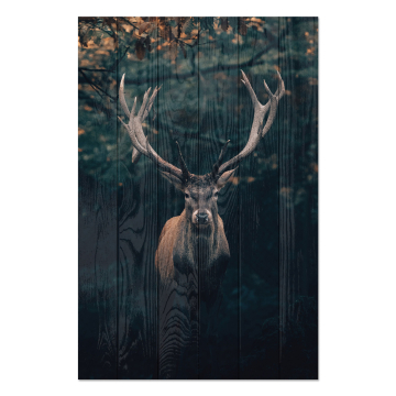 Obrázek na dřevo Deer