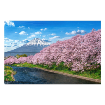 Obrázek na dřevo Fuji Mountain in Spring